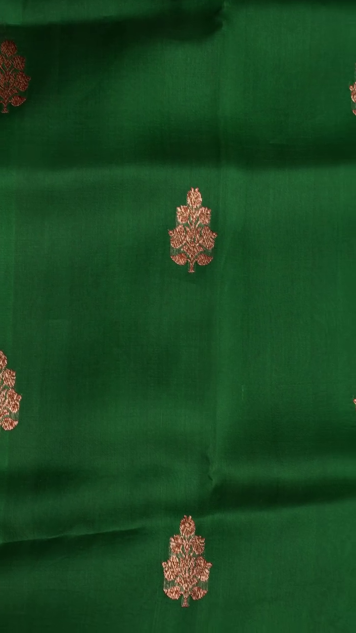 Sheer Green Silk Saree